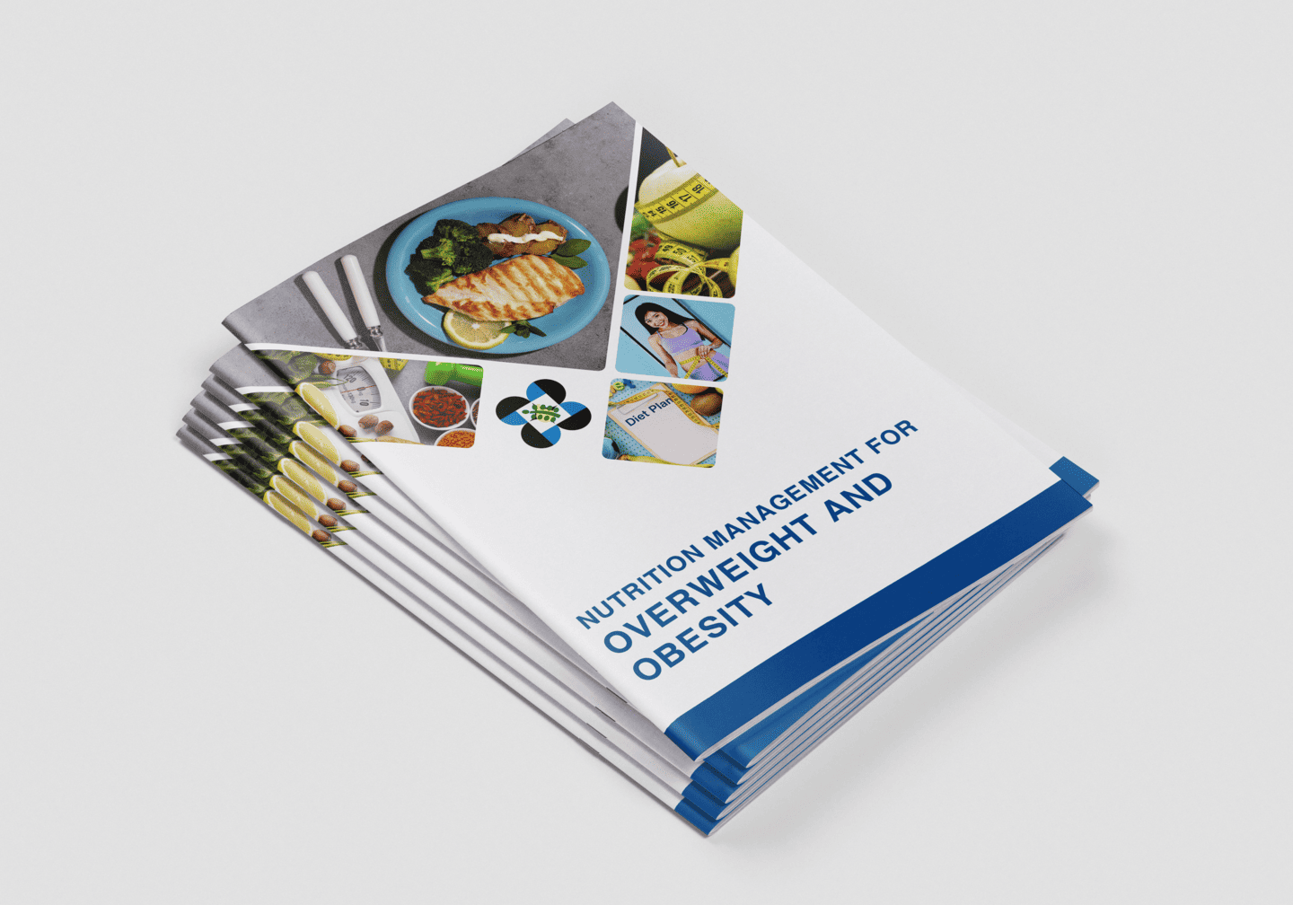 FNRI Obesity Handbook